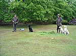 Training mit "The Gang"